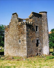 Patrimoine en péril : Le donjon de Chambrette
