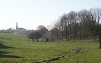 Les arbres dans les noms de lieux du canton de Mortagne-sur-Sèvre