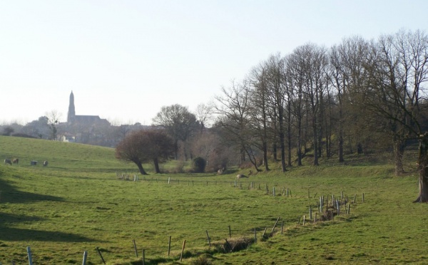 Les arbres dans les noms de lieux du canton de Mortagne-sur-Sèvre