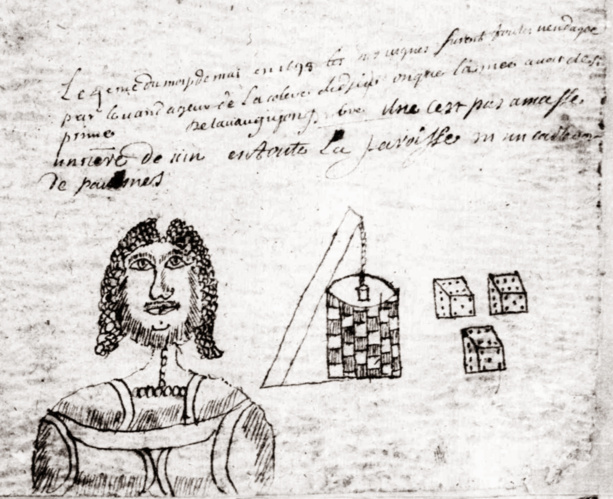 Une note sur la dévastation des vignes de Chavagnes, accompagnée de curieux dessins