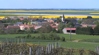 Vidéo – Les Deux-Sèvres, pôle international de la biodiversité