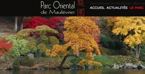 Cholet : au parc oriental de Maulévrier des couleurs d'automne à découvrir jusqu'au 15 novembre