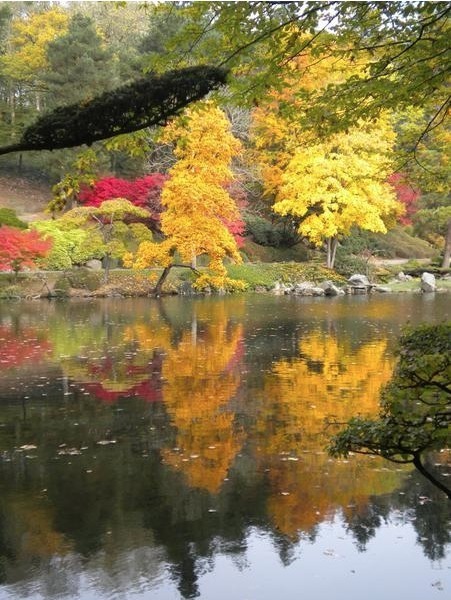 Cholet : au parc oriental de Maulévrier des couleurs d'automne à découvrir jusqu'au 15 novembre