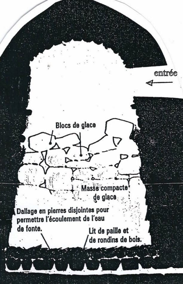 Coupe d'une glacière.