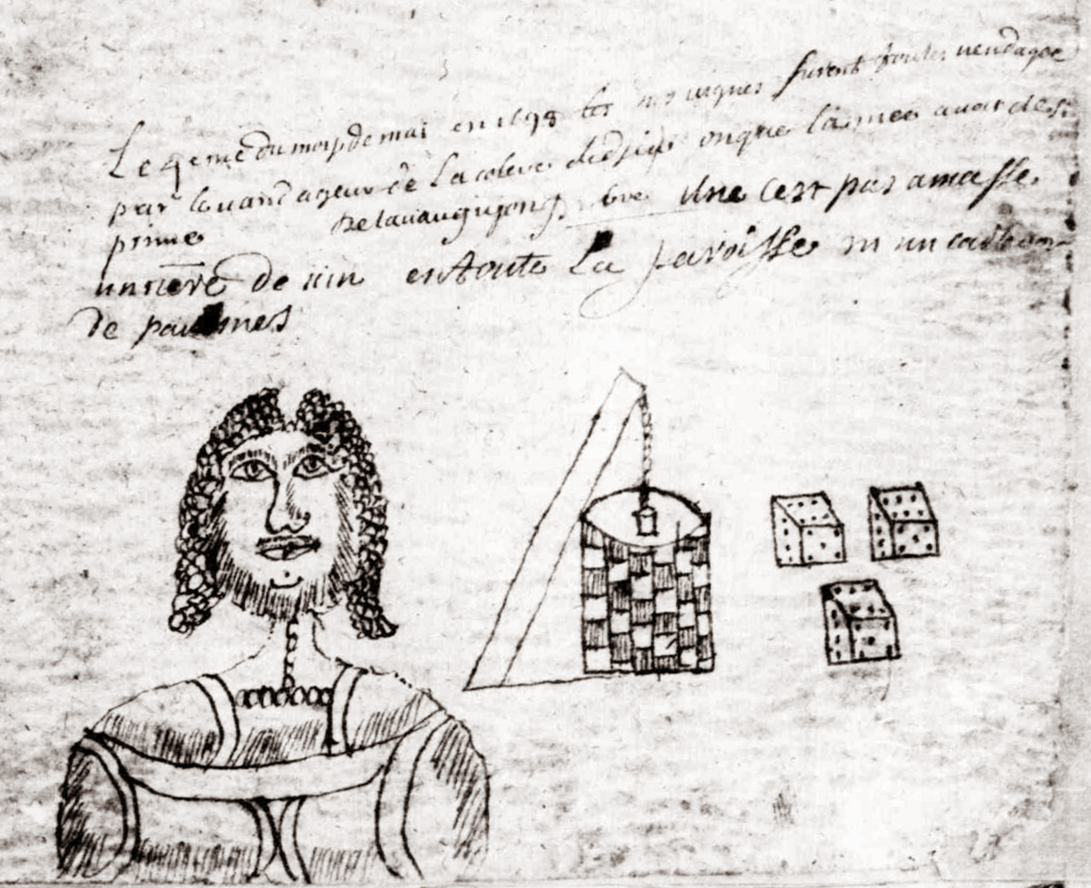 Une note sur la dévastation des vignes de Chavagnes, accompagnée de curieux dessins