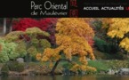 Cholet : au parc oriental de Maulévrier des couleurs d'automne à découvrir jusqu'au 15 novembre