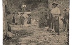Connaissez-vous "le chemin des fées" qui traverse les Mauges ?