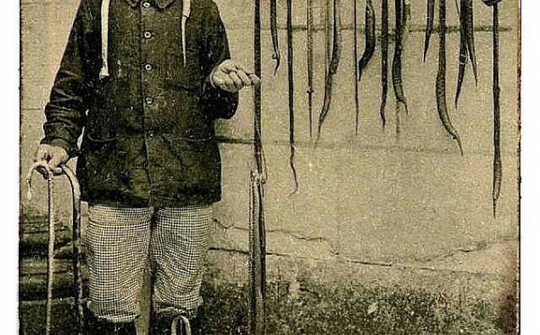 Le chasseur de vipères au siècle dernier : un métier qui ne manquait pas de piquant