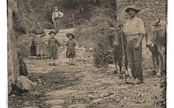 Connaissez-vous "le chemin des fées" qui traverse les Mauges ?