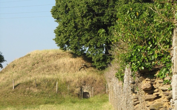 Cholet : la glacière du château de la Tremblaye, un ouvrage insolite