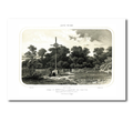 Gravure de l'Album vendéen – Forêt de Maulévrier, Cimetière des Martyrs